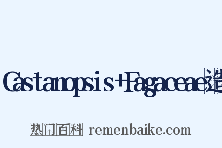 Castanopsis+Fagaceae造句是什么意思的图片